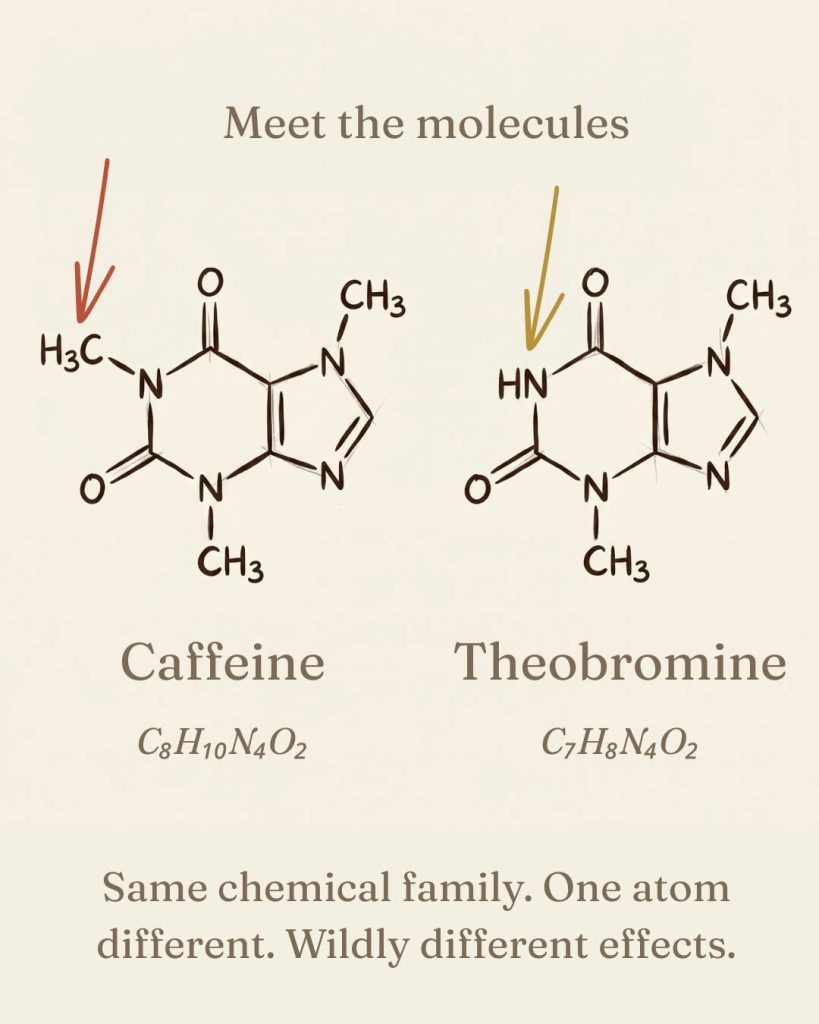 a side by side  comparison of caffeine and theobromine molecules